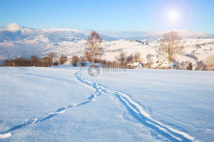 美丽的冬季自然景观令人惊叹的日落山景雪林地象寒冷天气超级冬季壁纸美丽的日落山景雪林地象图片