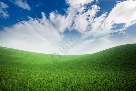 夏季绿草和蓝天空背景绿草和蓝天空背景图片