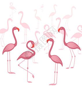 热带粉红色火烈鸟矢量元素图片