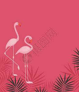火烈鸟婚礼粉红火烈鸟热带的矢量背景插画
