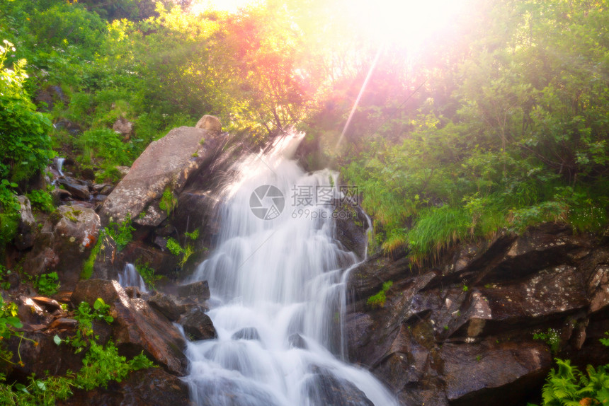 阳光明媚的绿色夏季瀑布图片