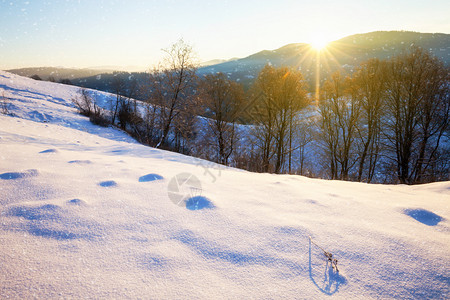 冬季山区景观阳光明媚的阿尔卑斯山丘美丽的冬季自然图片