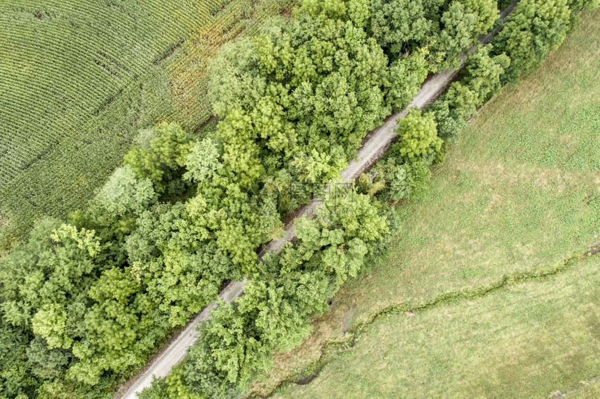 密苏里州大部分地区从废弃铁路转过来的237英里自行车道图片