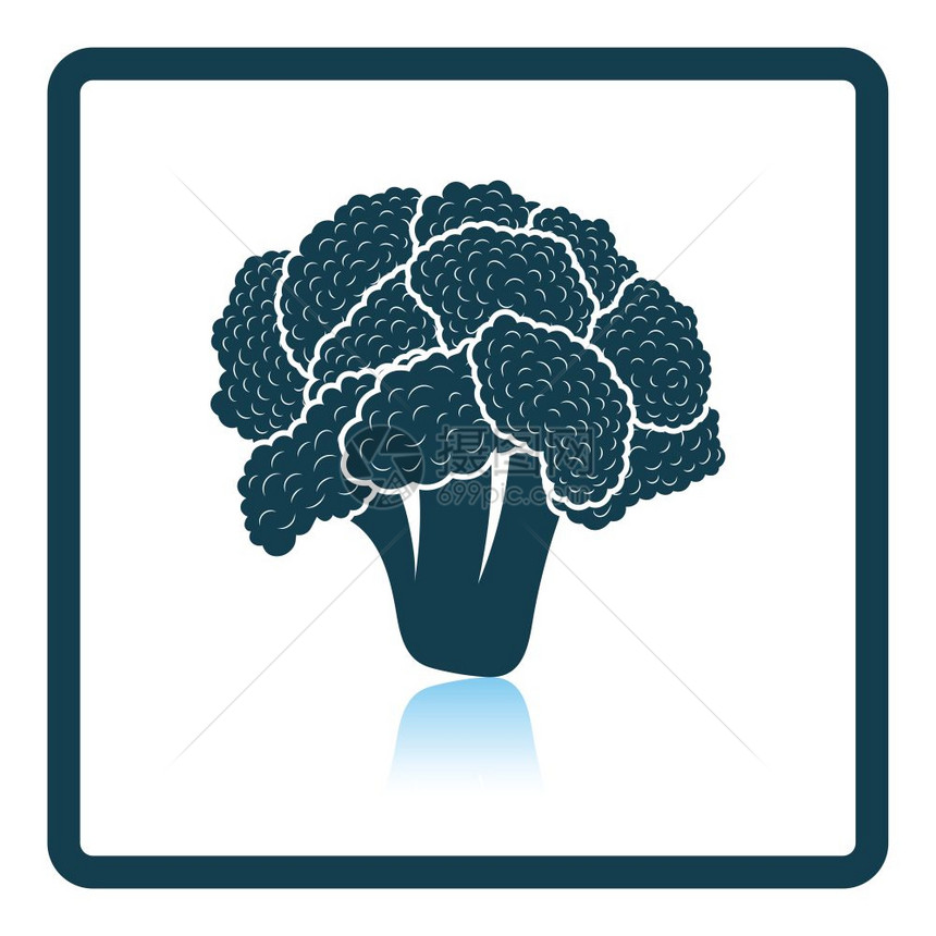 Cauliflower图标影子反射设计矢量插图图片