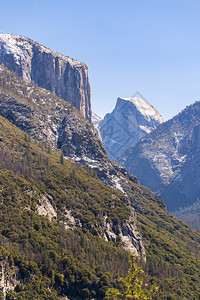 美国加利福尼亚州旧金山Yosemite公园图片