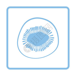 Kiwi图标蓝框设计矢量插图图片