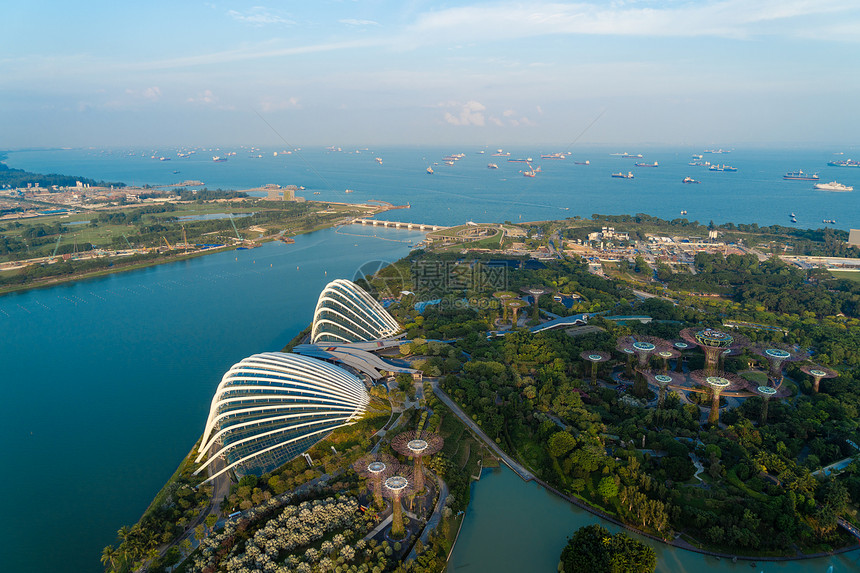 超级树林和花棚新加坡城玛丽娜湾海旁的花园中午空观光图片