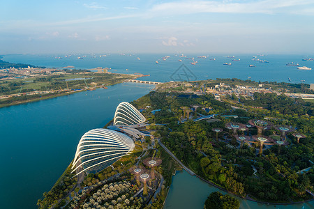 超级树林和花棚新加坡城玛丽娜湾海旁的花园中午空观光图片