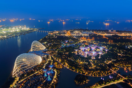 超级树园和花棚新加坡市玛丽娜湾海旁的花园夜间空中观赏背景图片