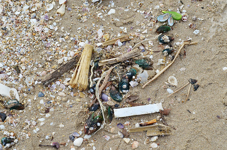 海滩的洋垃圾高清图片