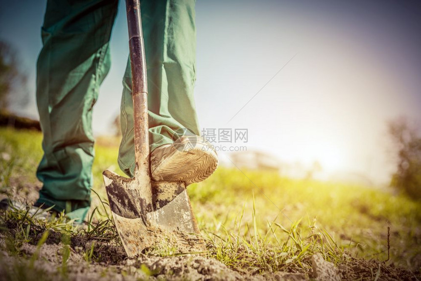 园丁用铲子在花里挖洞准备土壤用于新的植物复古风格图片