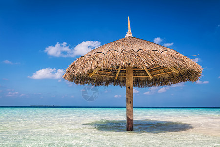 热带沙滩岛遮阳伞印度洋马尔代夫蓝阳光的天空图片