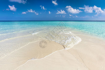 热带海滩有白沙和清澈的绿海马尔代夫岛屿有白沙和清澈的绿海马尔代夫图片