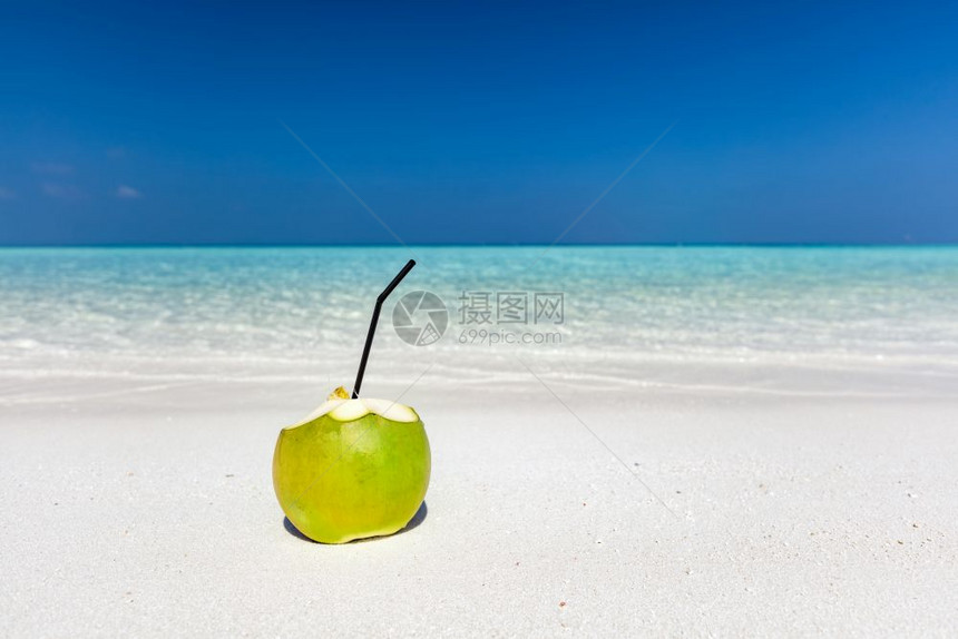 新鲜绿色椰子准备饮用马尔代夫热带海滩印度洋新鲜绿色椰子图片