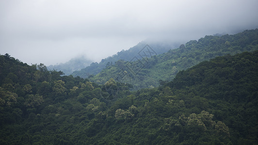 泰国KhaoYai公园热带雨林自然资源分布图背景