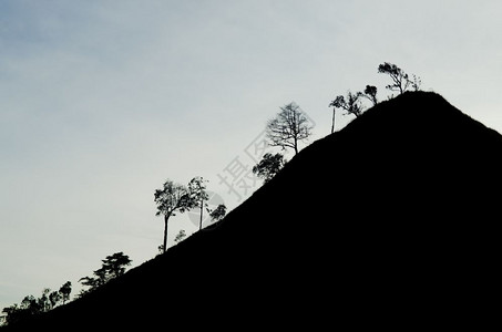 山树全景图片