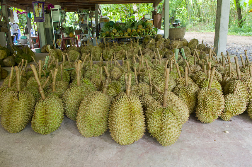 来自泰国的DummpDurian是有浓香味的水果图片