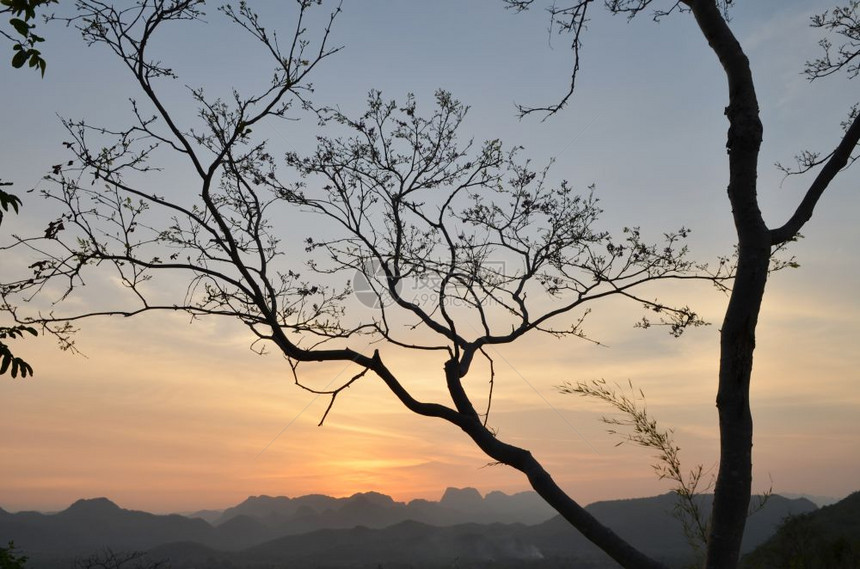 日落的后树和山岳图片