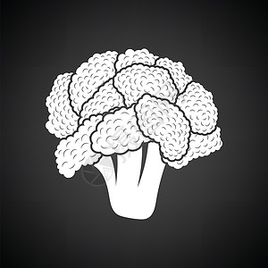 Cauliflower图标有白色的黑背景矢量插图图片