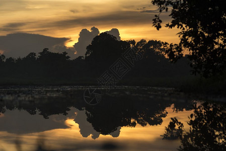 亚洲湿地日落图片