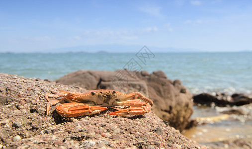 海沙图片