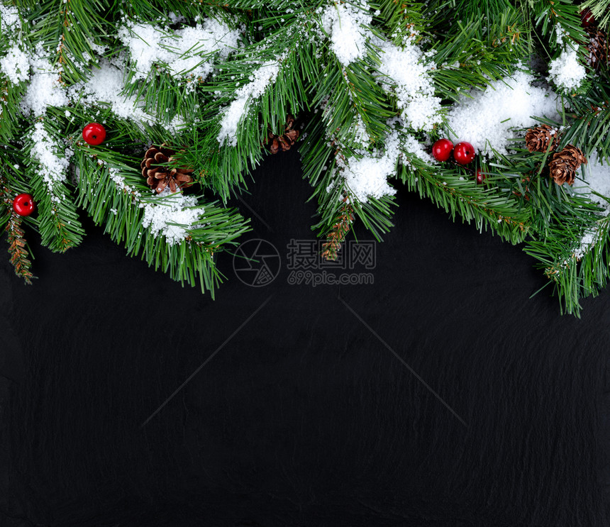 在圣诞节或新年假期概念下雪覆盖长青树枝图片