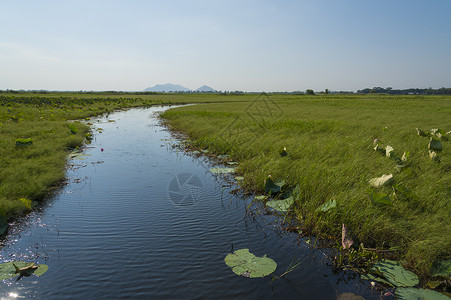 戈普拉泰国拉姆萨尔公约湿地Nakhonsawan的Boraphet湖背景