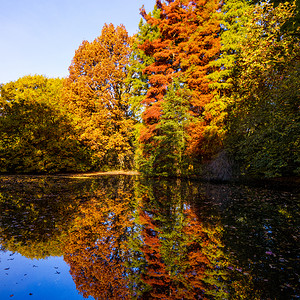 美妙的景观色彩多的秋场景图片