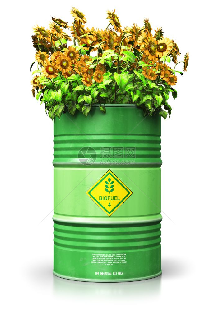 创意抽象生态替代可持续能源和环境保护节约商业概念3D展示绿色金属生物燃料桶或柴油黄向日葵花在白色背景上隔开产生反射效果图片