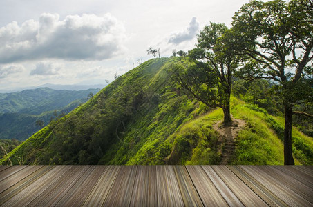 泰国热带森林山脊上的太阳区夏季风景背景图片