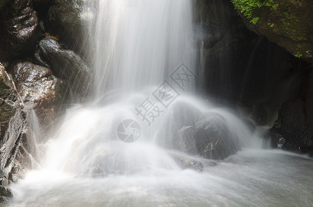 雨林热带瀑布图片