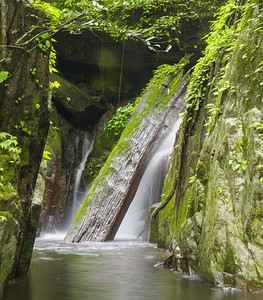 KooYai公园的KrokIDokDok瀑布森林世界遗产图片