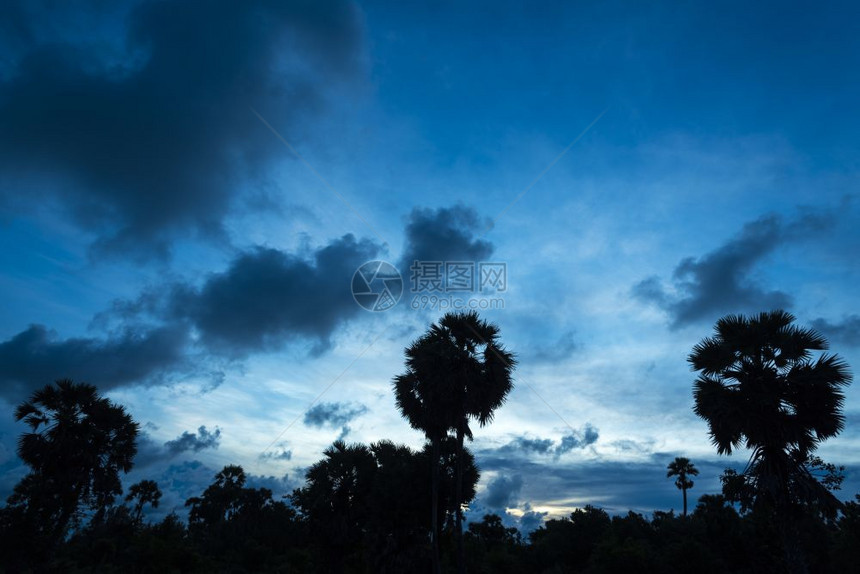 棕榈树日落黄昏时间图片