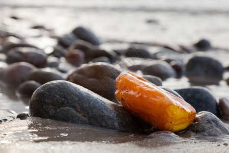 在岩石海滩上的安珀珍宝藏概念波兰罗的海图片