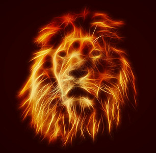火焰狮子摘要艺术狮子肖像火焰毛皮黑色背景富饶的成年大狮子背景