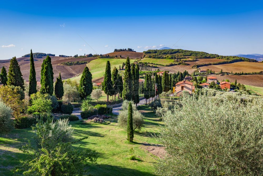 托斯卡纳乡村风景包括树农场和绿地意大利Monticchiello的景象图片