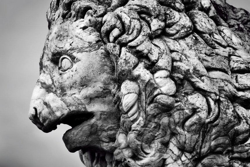 意大利佛罗伦萨LoggiadeiLanzi的美第奇狮子古型雕塑黑白美第奇狮子古型雕塑意大利佛罗伦萨图片