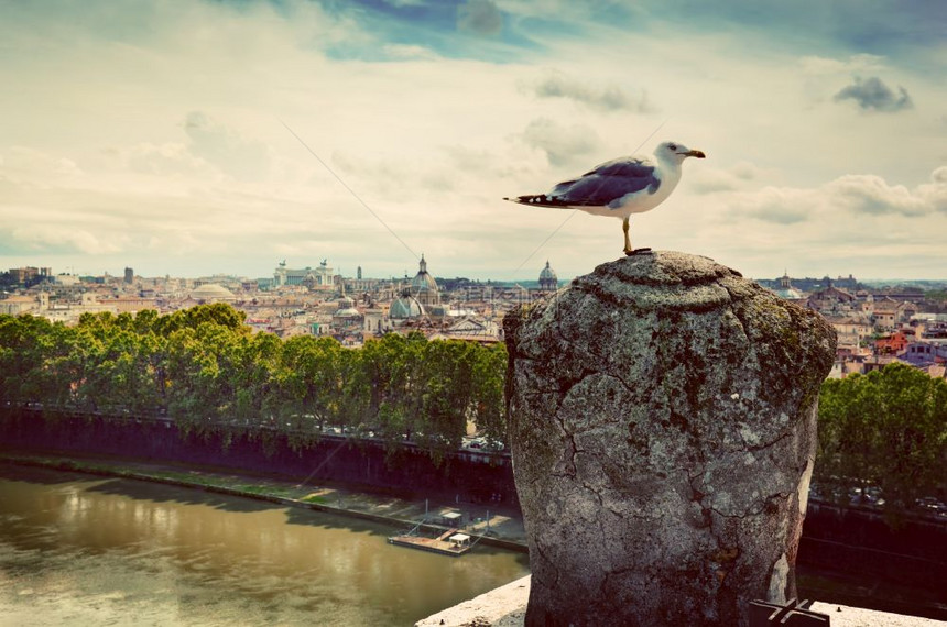 意大利罗马古老的全景从CastelSantAngeloBird安息在石雕上意大利罗马古老的全景从CastelSantAngelo图片