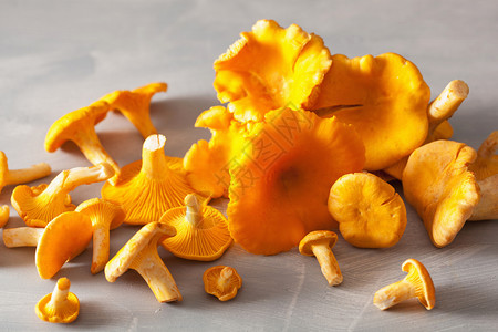 灰色背景的鲜香果蘑菇图片