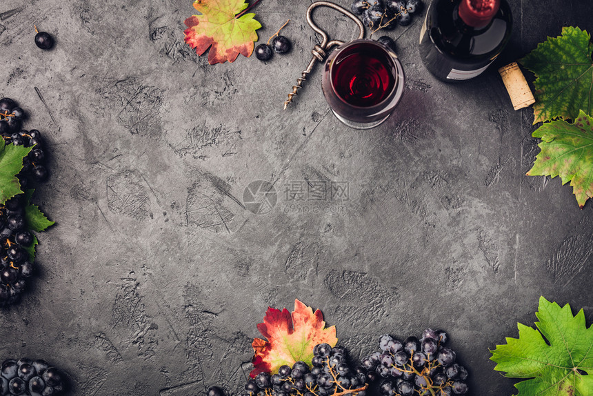葡萄酒树叶和深底复制空间平底图片