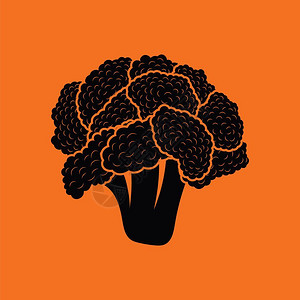 Cauliflower图标黑色橙背景矢量插图背景图片