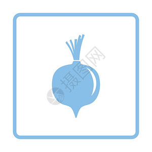Beetroot图标蓝框设计矢量插图图片