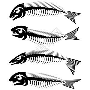 白底鱼海图象骨质海图象高清图片