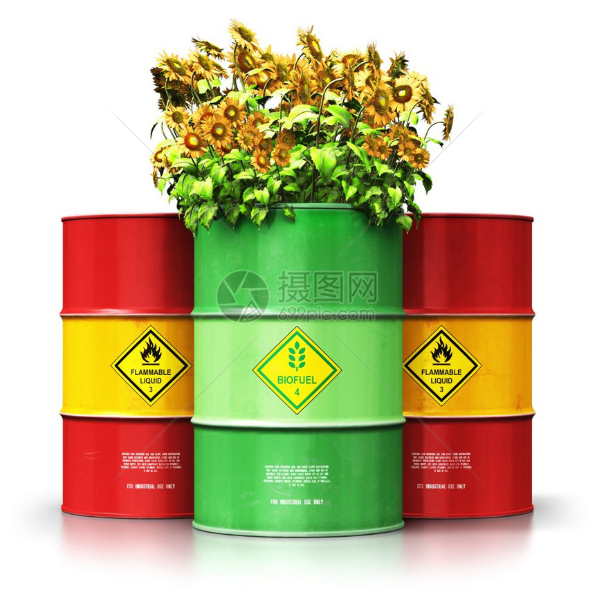创意抽象生态替代可持续能源和环境保护节约商业概念3D将绿色生物燃料或柴油桶与黄向日葵花在白色背景孤立的红金属油石或气桶前的红色金图片