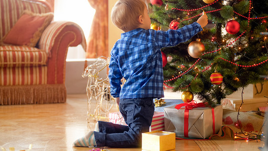 早上跪在圣诞树下的小男孩图片