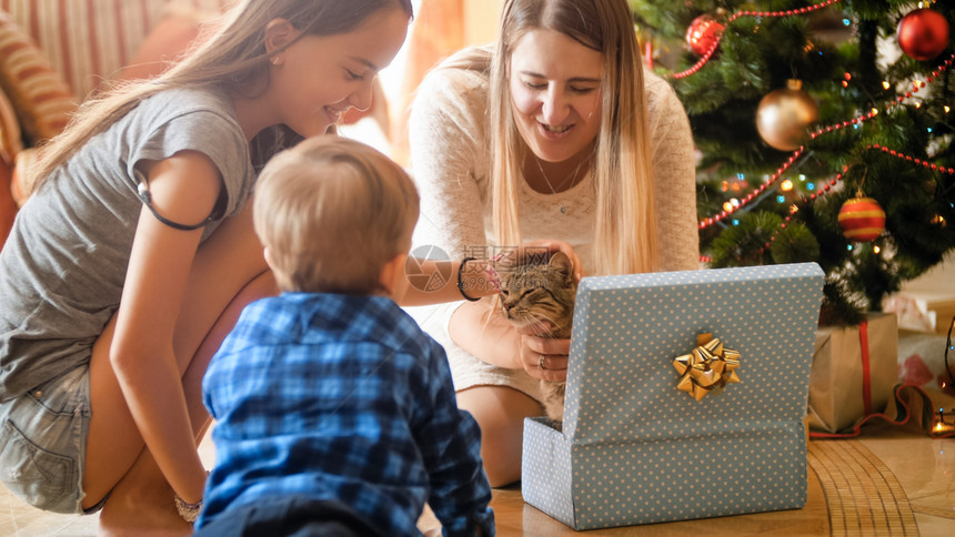 微笑的家庭看着猫从圣诞礼物箱里走出来快乐的笑家庭看着猫从圣诞礼物箱里走出来图片