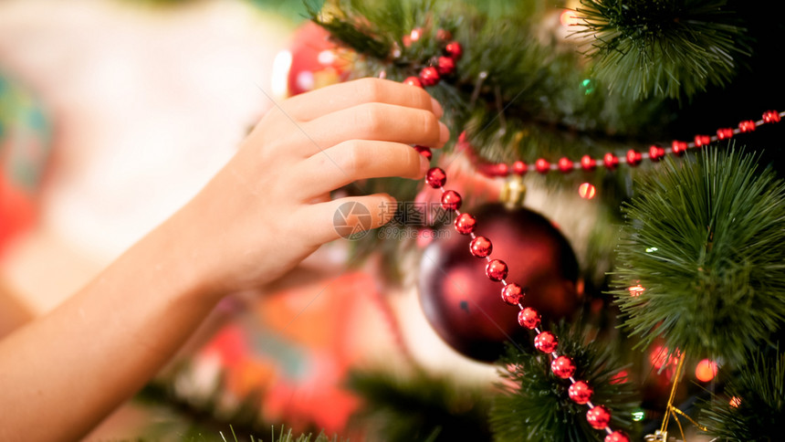 在圣诞树枝上贴红色装饰珠子的女士手贴上红色装饰珠子的照片图片
