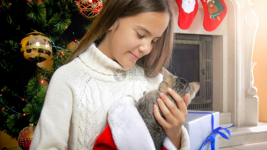 美丽的少女小猫坐在装饰圣诞树下美丽的少女肖像小猫坐在装饰圣诞树下图片
