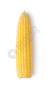 在白色背景上孤立的COb玉米背景图片