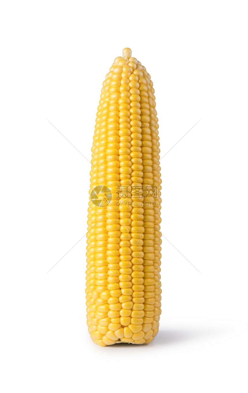 在白色背景上孤立的COb玉米图片